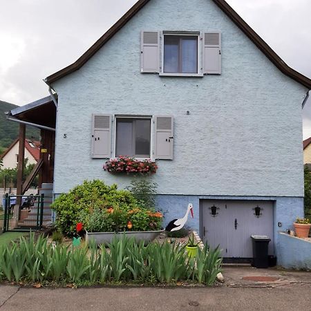 Gite Les Chiwawas D'Alsace Kaysersberg-Vignoble Esterno foto