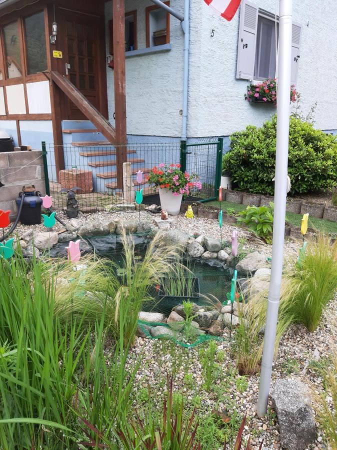 Gite Les Chiwawas D'Alsace Kaysersberg-Vignoble Esterno foto
