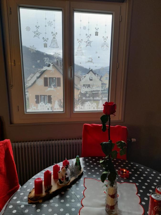 Gite Les Chiwawas D'Alsace Kaysersberg-Vignoble Esterno foto